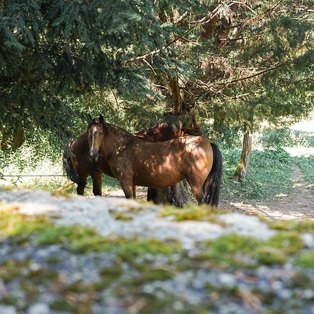 Отель La Mouline Labastide-du-Vert Экстерьер фото